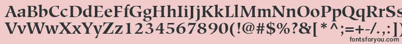 GlossarySsiBold-Schriftart – Schwarze Schriften auf rosa Hintergrund
