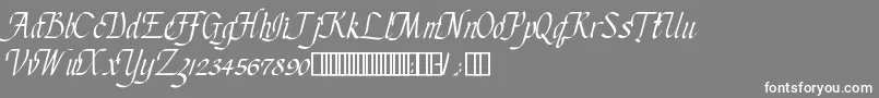 ChanceryCursive Font – White Fonts on Gray Background