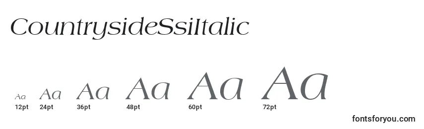 CountrysideSsiItalic Font Sizes