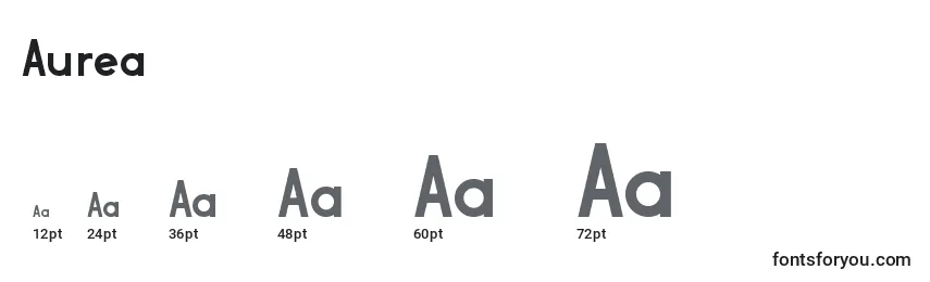Размеры шрифта Aurea