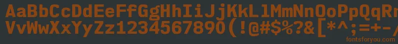 Шрифт Nk57MonospaceNoEb – коричневые шрифты на чёрном фоне