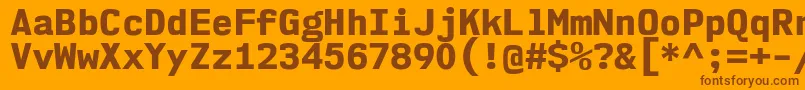 Nk57MonospaceNoEb Font – Brown Fonts on Orange Background