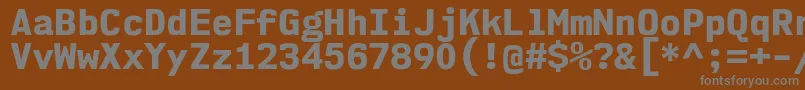 フォントNk57MonospaceNoEb – 茶色の背景に灰色の文字