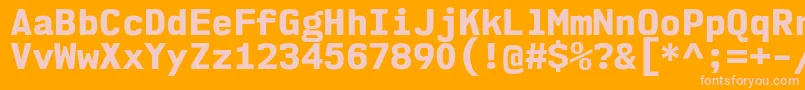 Nk57MonospaceNoEb Font – Pink Fonts on Orange Background