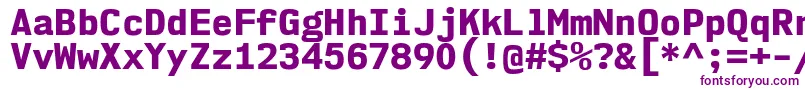 Nk57MonospaceNoEb Font – Purple Fonts on White Background