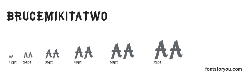 BruceMikitaTwo Font Sizes