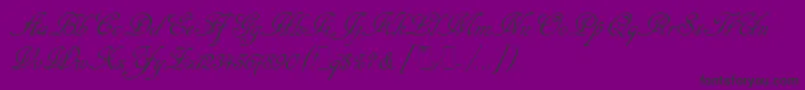 CancellarescaScriptLetPlain.1.0 Font – Black Fonts on Purple Background