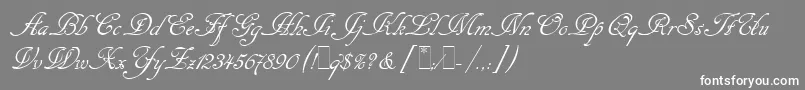 フォントCancellarescaScriptLetPlain.1.0 – 灰色の背景に白い文字