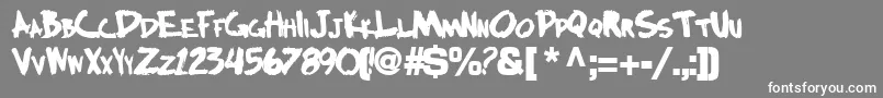 Bocciworksbold55Bold Font – White Fonts on Gray Background