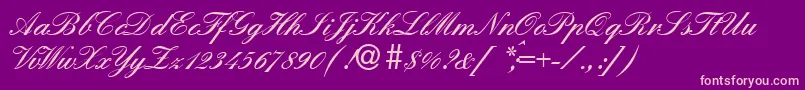 EnglandHandDb Font – Pink Fonts on Purple Background