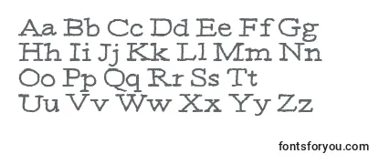 Обзор шрифта Moa3