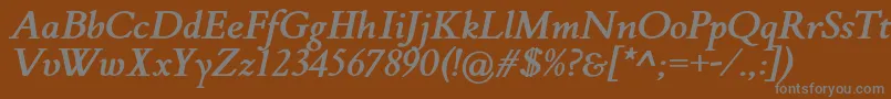 FlankerGriffoItalicBold Font – Gray Fonts on Brown Background