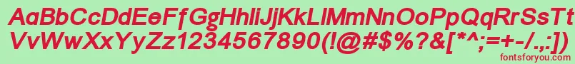 ErUnivers1251BoldItalic Font – Red Fonts on Green Background