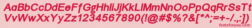 ErUnivers1251BoldItalic Font – Red Fonts on Pink Background