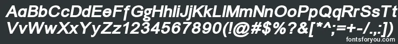 ErUnivers1251BoldItalic Font – White Fonts