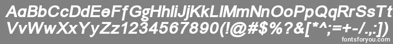 ErUnivers1251BoldItalic-Schriftart – Weiße Schriften auf grauem Hintergrund