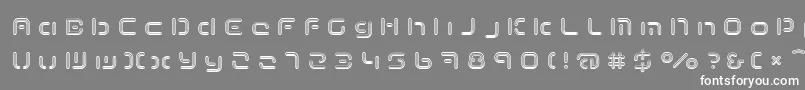 TermRegccc Font – White Fonts on Gray Background