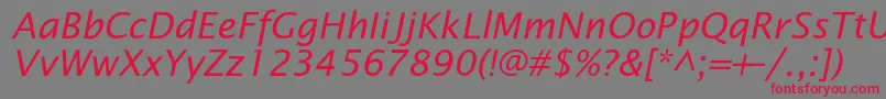 OfficetypesansItalic Font – Red Fonts on Gray Background