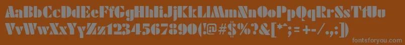 FuturistblackRegular Font – Gray Fonts on Brown Background