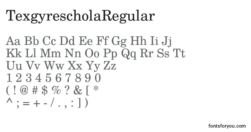 A fonte TexgyrescholaRegular – alfabeto, números, caracteres especiais