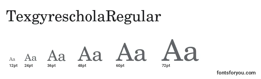 Размеры шрифта TexgyrescholaRegular