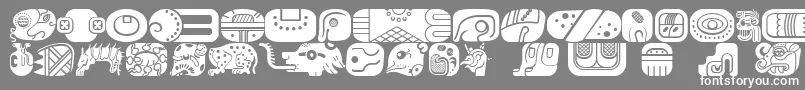 MayanglyphsfillRegular Font – White Fonts on Gray Background