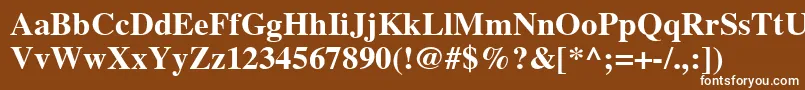 フォントTimesCeBold – 茶色の背景に白い文字