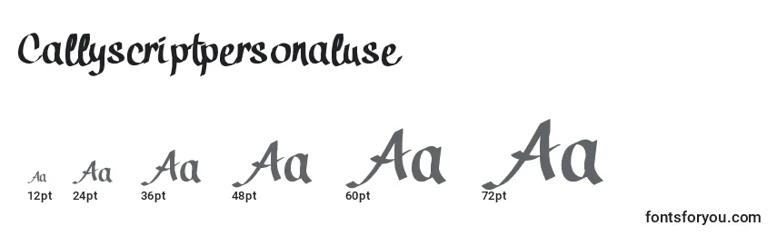 Callyscriptpersonaluse Font Sizes