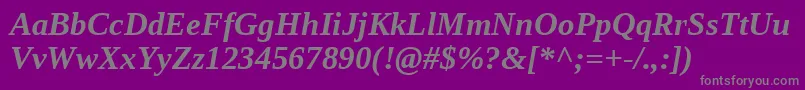 フォントLiberationserif Bolditalic – 紫の背景に灰色の文字
