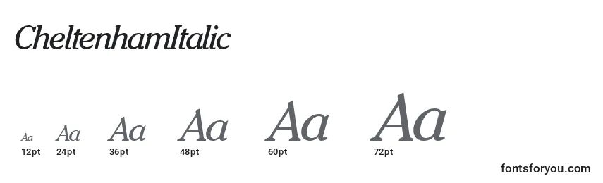 Размеры шрифта CheltenhamItalic