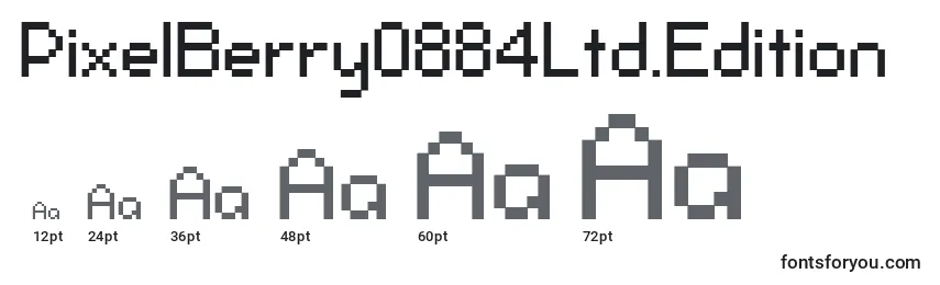 Размеры шрифта PixelBerry0884Ltd.Edition