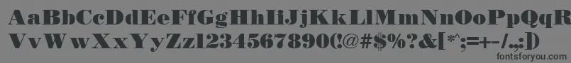 BodidlyRegular Font – Black Fonts on Gray Background