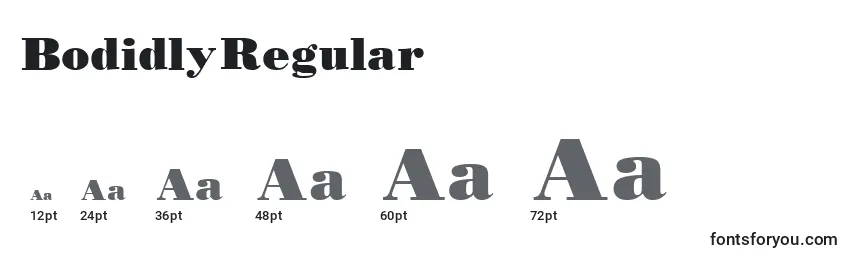 Размеры шрифта BodidlyRegular