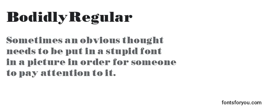 Review of the BodidlyRegular Font
