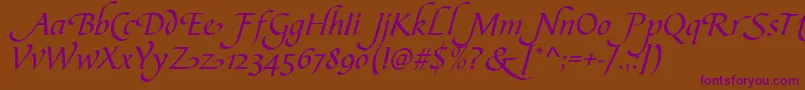 CalligraphscriptSwashRegular Font – Purple Fonts on Brown Background