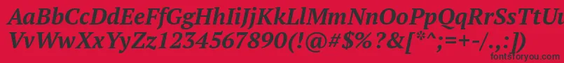 PtSerifBoldItalic Font – Black Fonts on Red Background