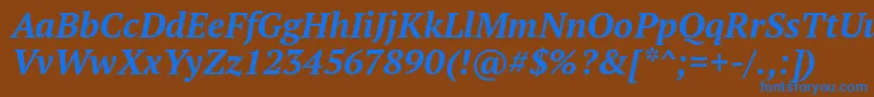 PtSerifBoldItalic Font – Blue Fonts on Brown Background