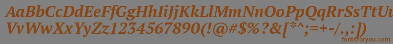 PtSerifBoldItalic Font – Brown Fonts on Gray Background