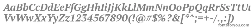 フォントPtSerifBoldItalic – 白い背景に灰色の文字