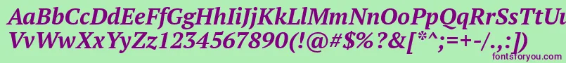 PtSerifBoldItalic Font – Purple Fonts on Green Background