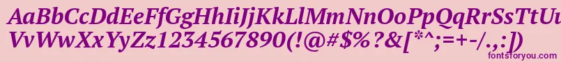 PtSerifBoldItalic Font – Purple Fonts on Pink Background