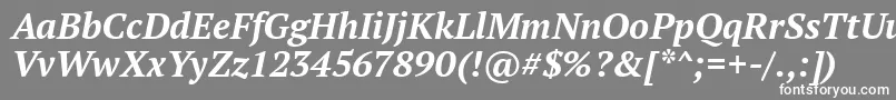 フォントPtSerifBoldItalic – 灰色の背景に白い文字