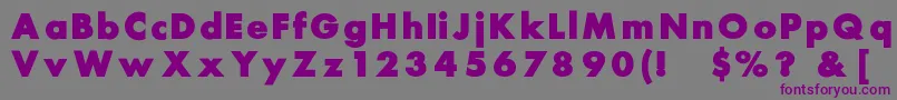 Belmar Font – Purple Fonts on Gray Background