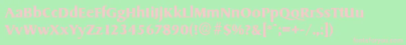 SydneyserialBold Font – Pink Fonts on Green Background