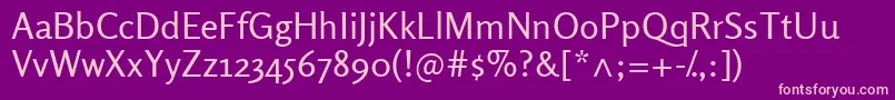 RosarioRegular Font – Pink Fonts on Purple Background