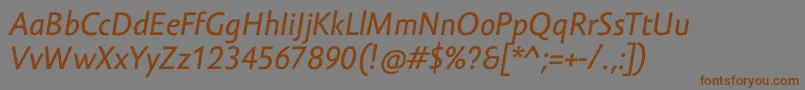 Шрифт AmorSansTextProItalic – коричневые шрифты на сером фоне