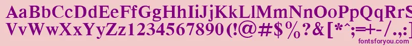 RespectBold.001.001 Font – Purple Fonts on Pink Background