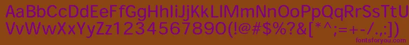 HeiseimarugostdW4 Font – Purple Fonts on Brown Background