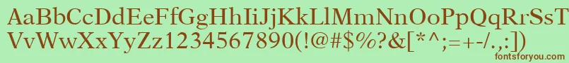 NewAsterLtRoman Font – Brown Fonts on Green Background