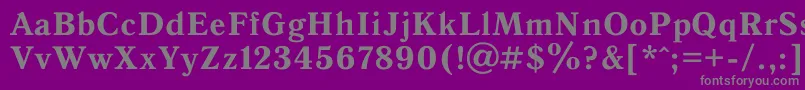 フォントAntiqua0 – 紫の背景に灰色の文字